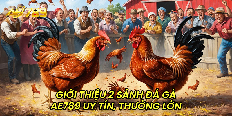 Giới thiệu 2 sảnh đá gà AE789 uy tín, thưởng lớn